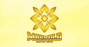MARIGOLD DREAM STAR GRAND PRIX