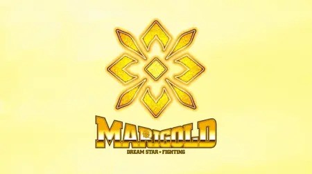 MARIGOLD DREAM STAR GRAND PRIX
