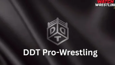 DDT Shout Your Love Live Stream